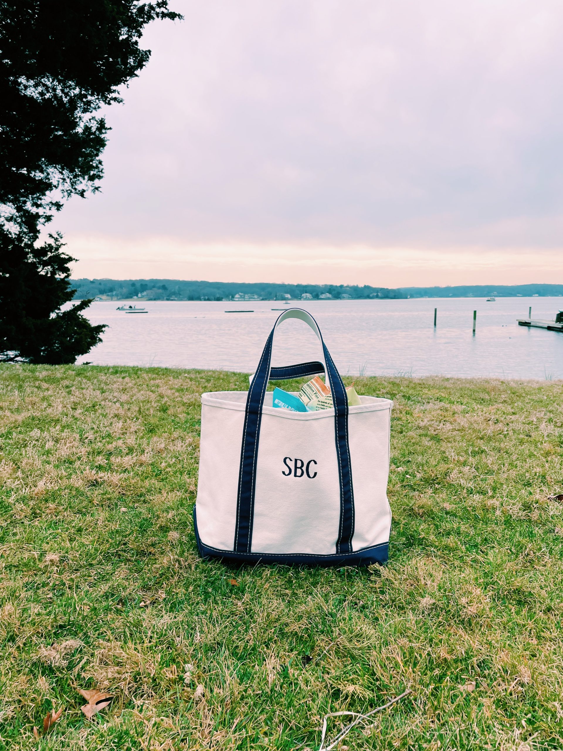 beach tote bag